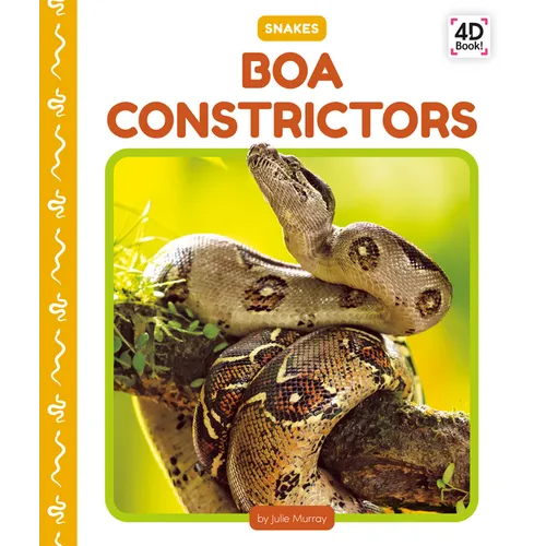 Boa Constrictors