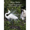 How Birds Live Together: Colonies and Communities in the Avian World