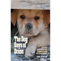 The Dog Days of Dixon: Incredible stories of love and healing in a rural New Mexico Rescue