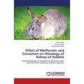 Effect of Metformin and Cinnamon on Histology of Kidney of Rabbits