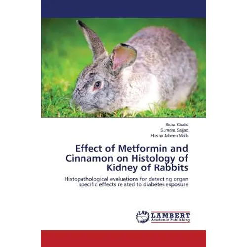 Effect of Metformin and Cinnamon on Histology of Kidney of Rabbits