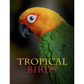Tropical Birds