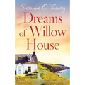 Dreams of Willow House: Gripping, heartwarming Irish fiction full of family secrets