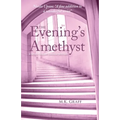 The Evening's Amethyst: A Nora Tierney English Mystery #5