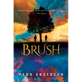 Brush