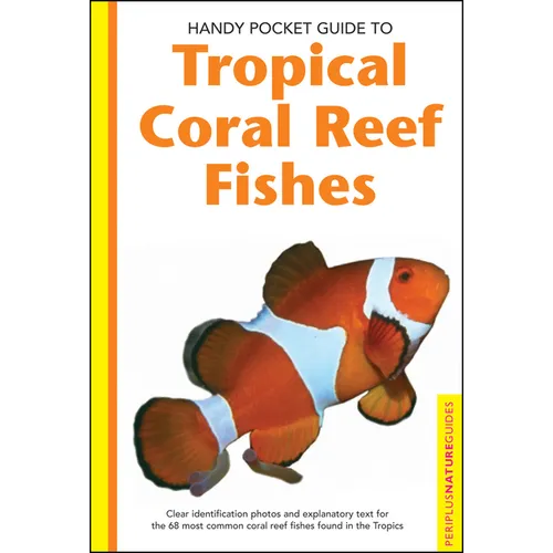 Tropical Coral Reef Fishes