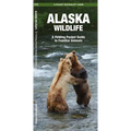 Alaska Wildlife: A Folding Pocket Guide to Familiar Animals