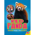 Red Panda