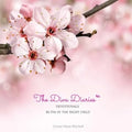 The Diva Diaries(TM) Devotionals: Ruth In The Right Field