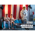 American Bedroom: Reflections on the Nature of Life