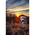 Priscilla's Journey