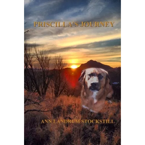 Priscilla's Journey