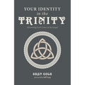 Your Identity in the Trinity: Discovering God's Grace in the Gospel