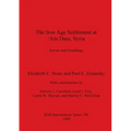 The Iron Age Settlement at 'Ain Dara, Syria: Survey and Soundings