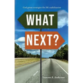 What Next?: God-Given Strategies for Life Stabilization