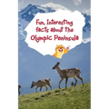 Fun, Interesting Facts About the Olympic Peninsula
