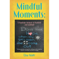 Mindful Moments: A Pandemic Memoir of Positivity and Gratitude