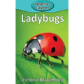 Ladybugs