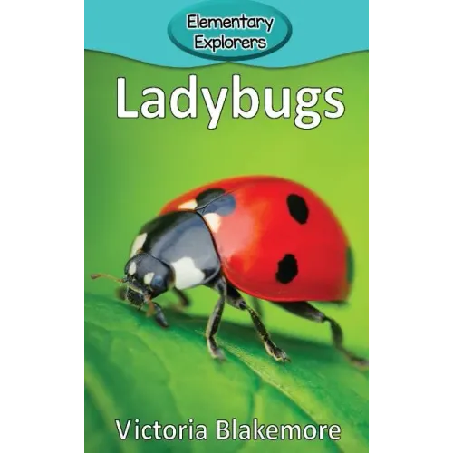 Ladybugs