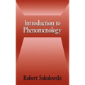 Introduction to Phenomenology