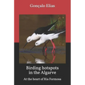 Birding hotspots in the Algarve: At the heart of Ria Formosa