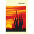 Saguaro: National Monument