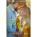 At First Spark: A Christian Contemporary Romance