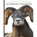 El Borrego Cimarrón