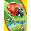 Ladybugs