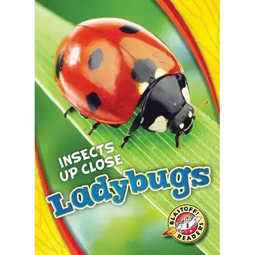 Ladybugs