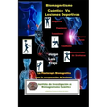Biomagnetismo Cuántico Vs Lesiones Deportivas: La Fisioterapia Biomagnética para la recuperación de Lesiones Deportivas