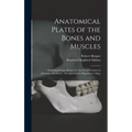 Anatomical Plates of the Bones and Muscles: Diminished From Albinus, for the use of Students in Anatomy, and Artists: Accompanied by Explanatory Maps