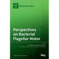 Perspectives on Bacterial Flagellar Motor