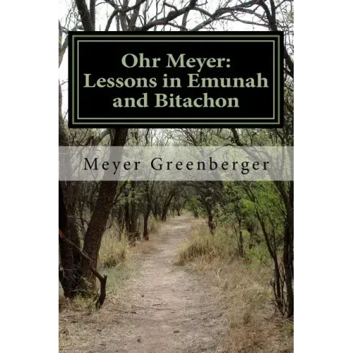 Ohr Meyer: Lessons in Emunah and Bitachon