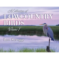 A Collection of Lowcountry Birds