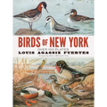 Birds of New York: Over 100 Plates