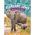 Elephant Cows: Heads of the Herd