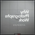 Why Photographs Work: 52 Great Images: Who Made Them, What Makes Them Special and Why