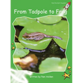 From Tadpole to Frog