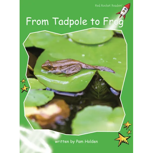 From Tadpole to Frog