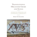 Transnational Organized Crime and Gangs: Intervention, Prevention, and Suppression of Cybersecurity