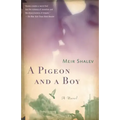 A Pigeon and a Boy