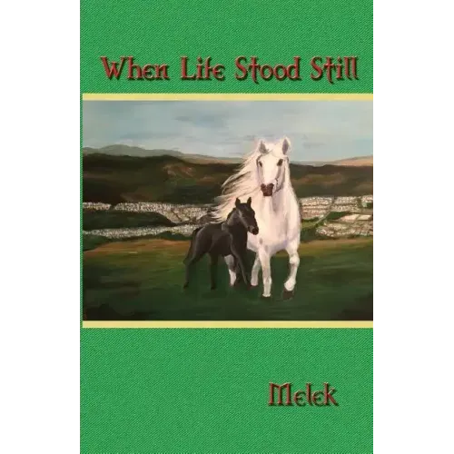 When Life Stood Still