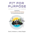 Fit for Purpose: Synthesizing Customer Experience with Strategy for Accelerated Business Results