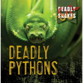 Deadly Pythons