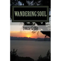 Wandering Soul: full of love, pain, and fun