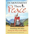 In Movement There Is Peace: Stumbling 500 Miles Along the Way to the Spirit