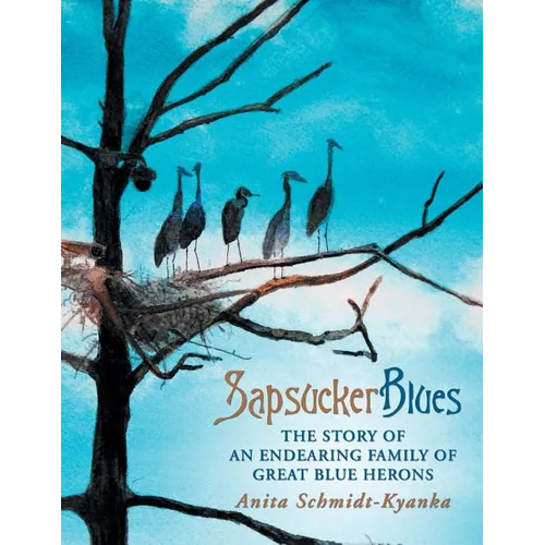 Sapsucker Blues: The Story of an Endearing Family of Great Blue Herons
