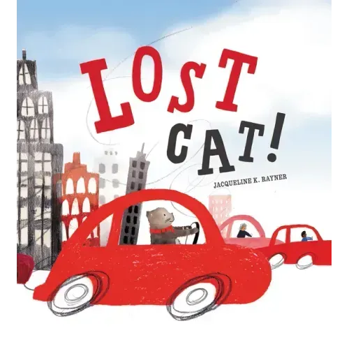 Lost Cat!