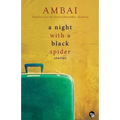 A Night with a Black Spider